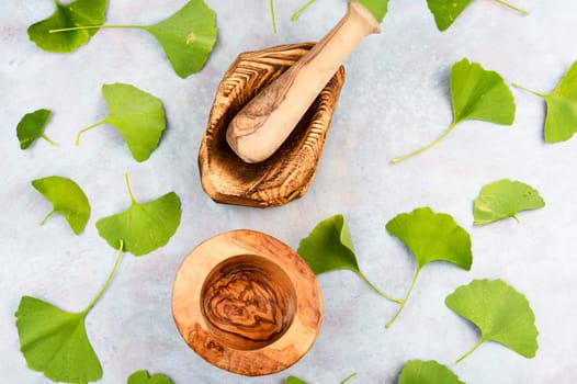 Medicinal plant ginkgo biloba, mortar and pestle on a wooden table, Ginkgo biloba herbal medicine.