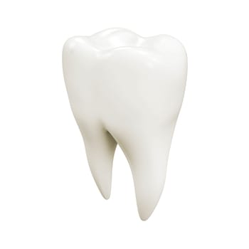 Tooth isolated on white