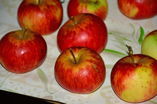 ripe red apples stored on a shelf in a cellar in Germany in late summer