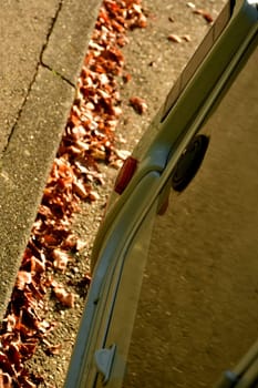 autumnal colored leaves on a street with the edge of a motor home