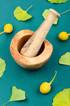Glass jar with extract from the ginkgo with leaves and yellow nuts. Natural herbal medicine concept. Top view