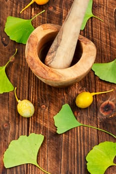 Glass jar with extract from the ginkgo with leaves and yellow nuts. Natural herbal medicine concept. Top view