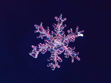 Super macro photography of snowflake. Snowflake natural crystal single isolated on dark blue background, transparent abstract photo background