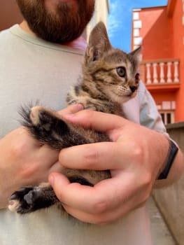 Millennial man in a straw hat and sunglasses holds lovingly at a small kitten in his hands. Tenderness moment captures the bond between human and pet. Themes of care and affection.