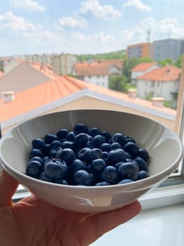Fresh blueberries in white plate close-up, background.