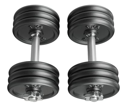 Cast Iron Black Adjustable Dumbbells, weightlifting gym equipment, side view, isolated on white background. 3D illustration