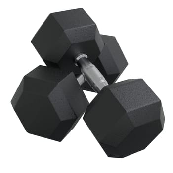 Blank Two Hex Dumbbells, weightlifting gym equipment, isolated on white background. 3D illustration