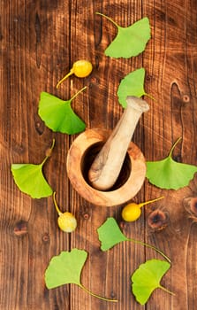 Green fan-shaped leaves and yellow nuts. Mortar and pestle. Alternative medicine and homeopathy.