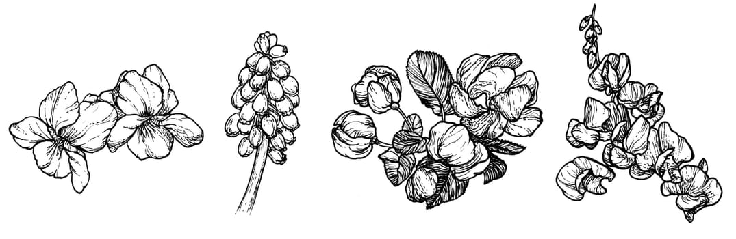 Spring flowers drawing with line art on white