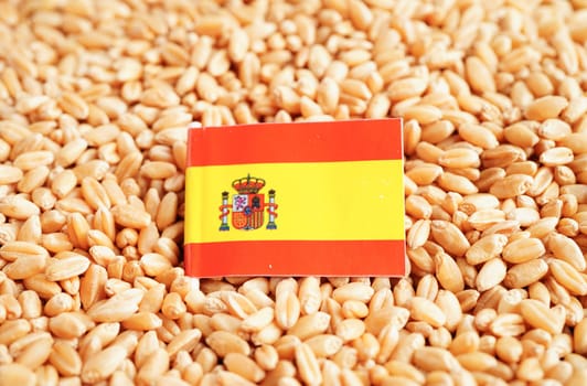 Spain flag on grain wheat, trade export and economy concept.