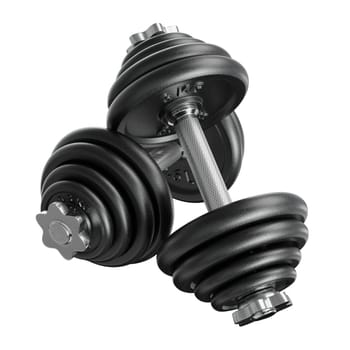 Pair of black adjustable dumbbells, weightlifting gym equipment, side view, isolated on white background. 3D illustration