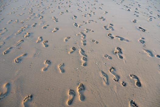Many footprints in the wet sand by the sea, in the evening light