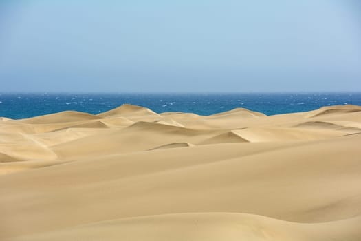 The dunes of Maspalomas on Gran Canaria in Spain, with sea and blue sky. The huge sand dunes resemble a small desert and are a nature reserve.