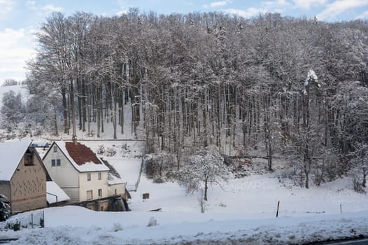 In the forest with snow, house  and blue sky.