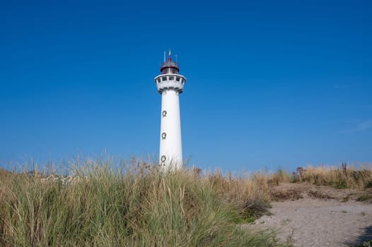The approx. 28 m high white lighthouse J.C.J. van Speijk in Egmond aan Zee, North Holland, Netherlands, in the sand dunes with beach grass