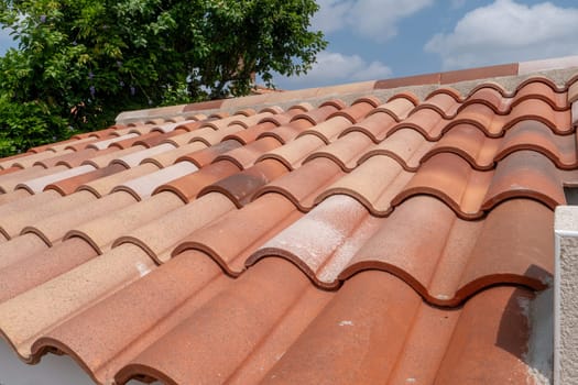 A roof with a tree in the background. The roof is made of red tiles. The roof is slanted and has a lot of tiles
