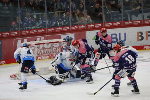 Busy in front of the Ingolstadt goal,goalkeeper / goalkeeper) Michael Garteig (ERC Ingolstadt) can keep his goal clean in this scene,in the game of the DEL 24-25,5th Sptg.: Schwenninger Wild Wings vs ERC Ingolstadt