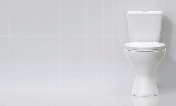 Toilet bowl in the bathroom