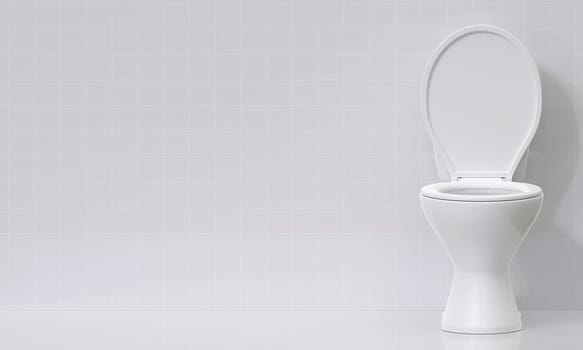 Toilet bowl in the bathroom