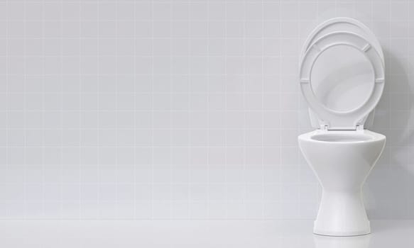 Toilet bowl in the bathroom
