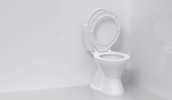 Toilet bowl in the bathroom