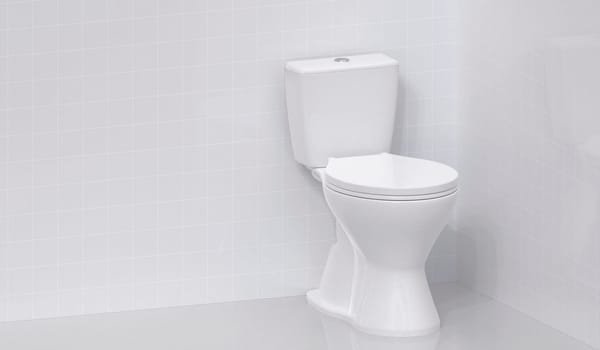 Toilet bowl in the bathroom