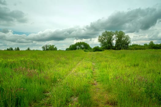 Path through meadow and cloudy sky, eastern Poland