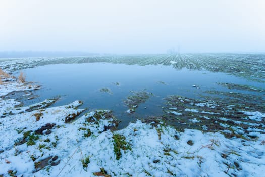 Water from melting snow on a rural field, view on a foggy day, Czulczyce, Lubelskie, Poland