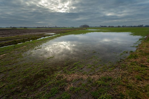 Water on farmland and cloudy sky in Czulczyce eastern Poland
