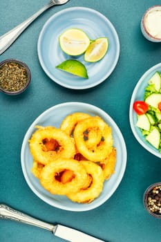 Delicious Fried squid rings and fresh vegetable salad on stone table background. Copy space.