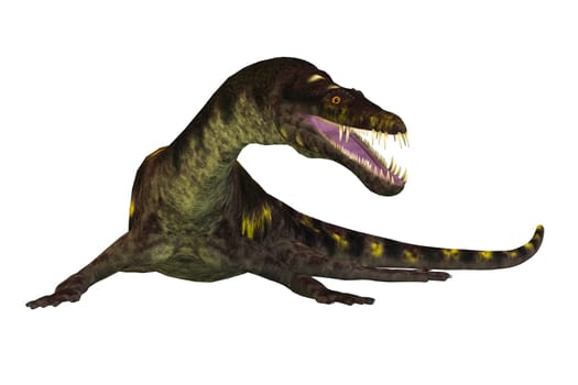 Nothosaurus was a semi-aquatic carnivorous reptile that lived in the Triassic Period of North Africa, Europe and China.