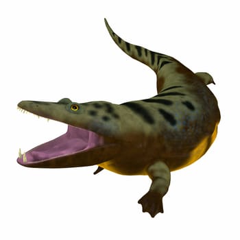 Mastodonsaurus was an aquatic amphibian animal that lived in Europe during the Triassic Period.