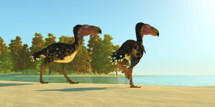 Two Kelenken Terror Birds come upon a lake during the Miocene Period of Argentina.