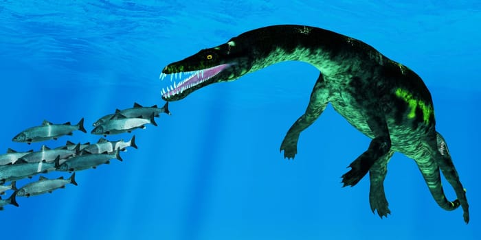 A school of Atlantic Salmon swim away from a giant Nothosaurus reptile during the Triassic Period.