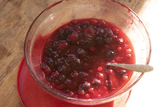 fruits of the forest cooked in their sauce
