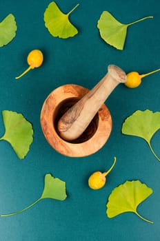 Green fan-shaped leaves and yellow nuts. Mortar and pestle. Top view