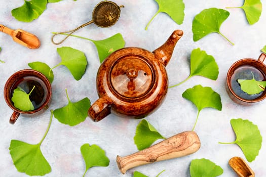 Therapeutic preparation with healing benefits of ginkgo biloba seeds and leaves in herbal medicine