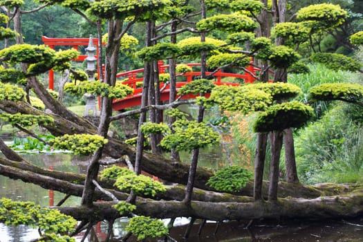 Japanese zen garden and red bridge over water