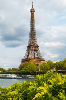 Vertical view of the Eiffel Tower from the banks with vegetation and trees