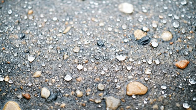 Tiny raindrops gather on the ground highlighting various stones after a recent rain shower. The wet surface glistens in the light.
