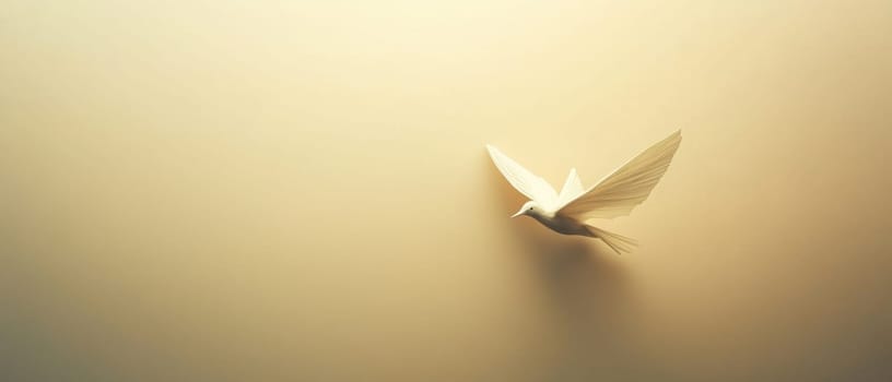 A delicate white bird flies against a warm softly illuminated background evoking a tranquil and serene moment in nature.