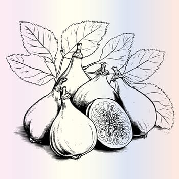 Fig Coloring Pages for Kids