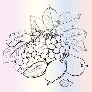 Fruit Ximenia Coloring Page For Kids