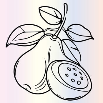 Fruit Ximenia Coloring Page For Kids