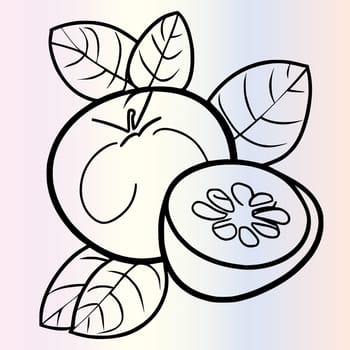 Fruit Ximenia Coloring Page For Kids