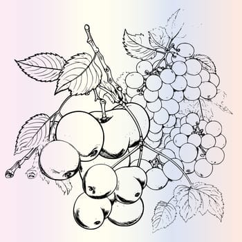 Fruits  Coloring Pages for Kids
