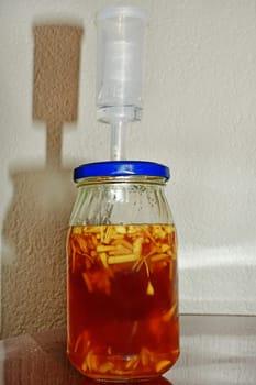 Fermentation of ginger in a glass with fermentation valve
