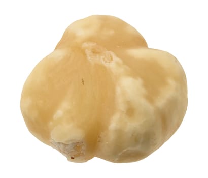 Peeled hazelnut on isolated background, close up
