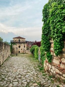 Stone pathway lined with ivy-covered walls leads to an old fortress under a soft, cloudy sky. the serene atmosphere captures a moment of timeless beauty and peaceful isolation in a historical setting.