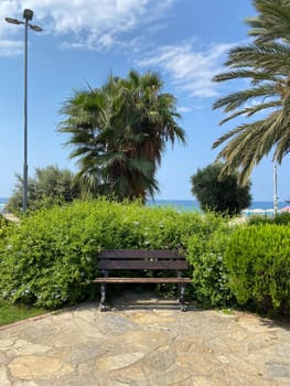 Green park scene featuring a wooden bench surrounded by vibrant greenery and flowers under a clear blue sky. Setting invites relaxation and reflection in nature embrace.